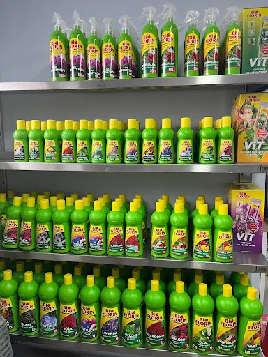 Planeta Ptaków. Wojtanowska K.